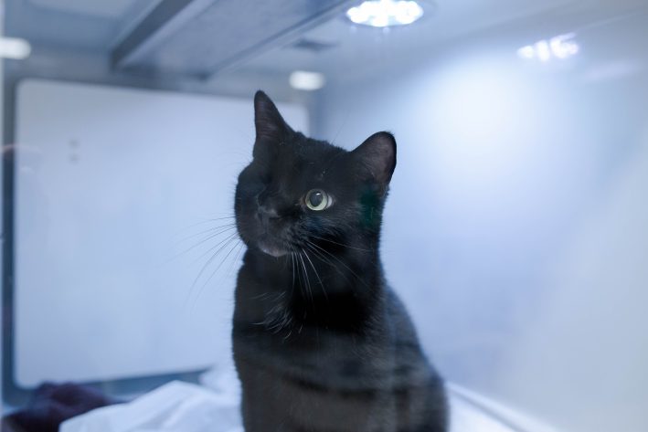 2022 04 Klinikfotos 24