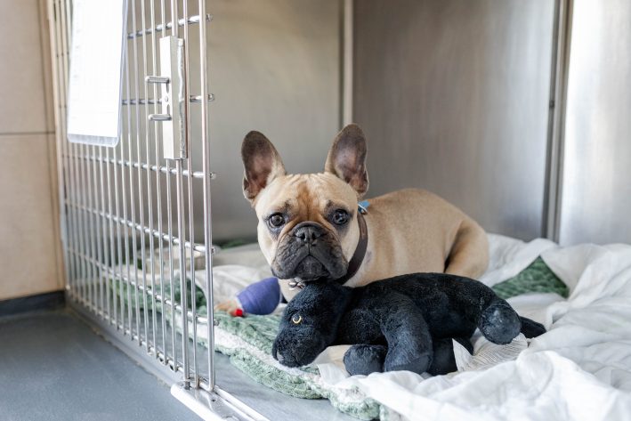 2022 04 Klinikfotos 43