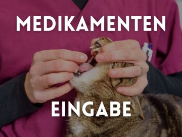 Medikamenteneingabe
