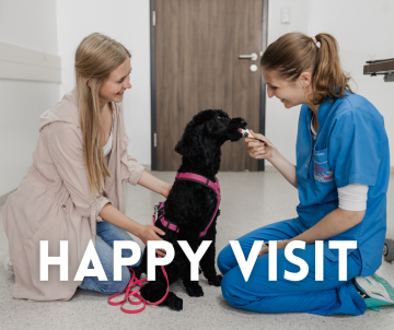 Happy Visit und Medical Training