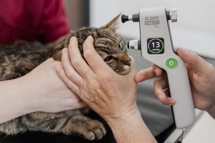 Augeninnendruckmessung (Tonometrie)