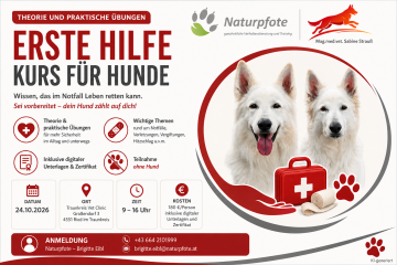 Erste-Hilfe-Kurs für Hunde – Sicher handeln im Notfall