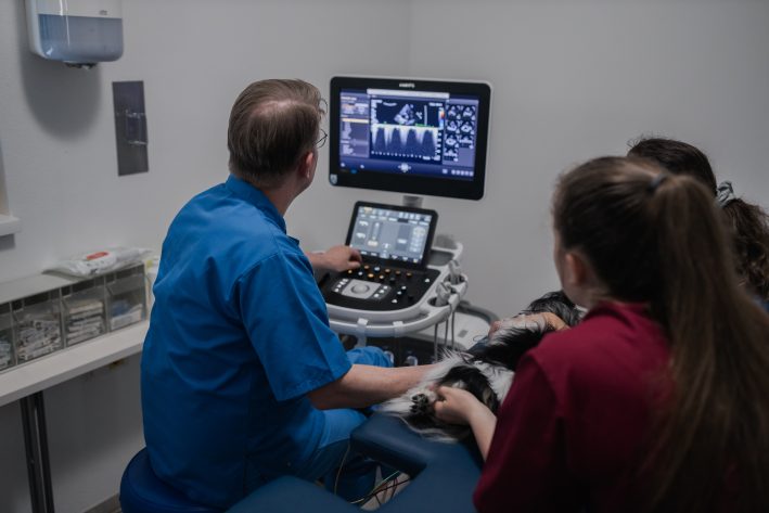 Herzultraschall und EKG