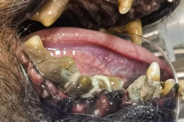 HgrZahnstein 855x570px