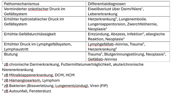 Liquidothorax Tabelle