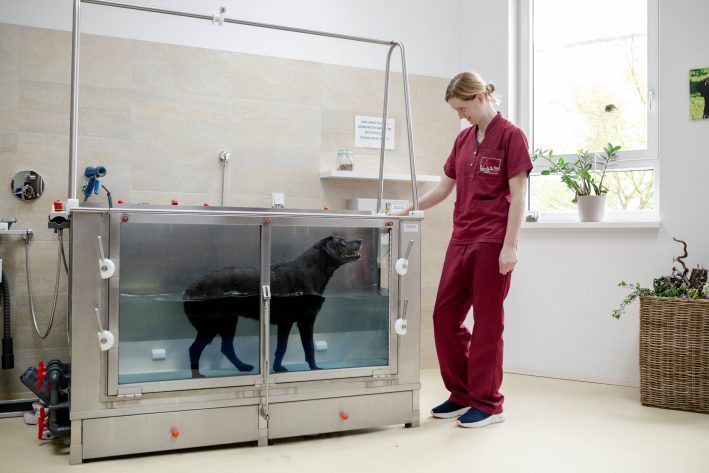 Trainingseinheit zur Stärkung der Muskulatur