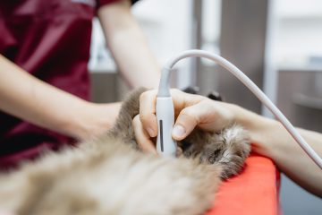 Fortbildungsabend 2025