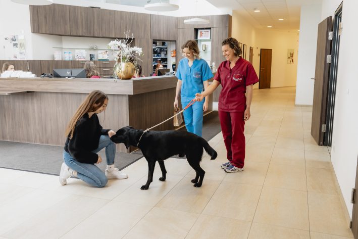 Wartezimmer RückgabePatient 2