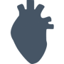 Kardiologie