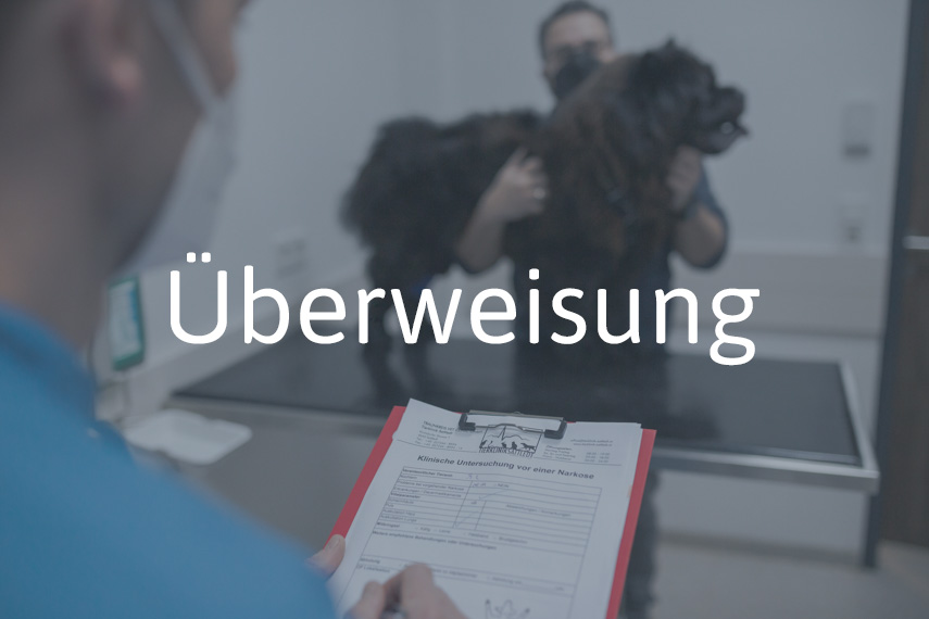 Überweisung
