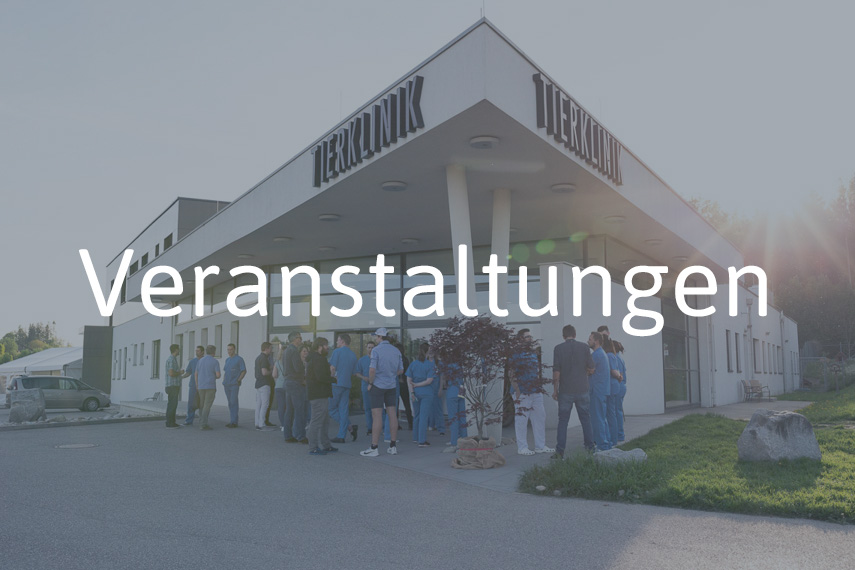Veranstaltungen