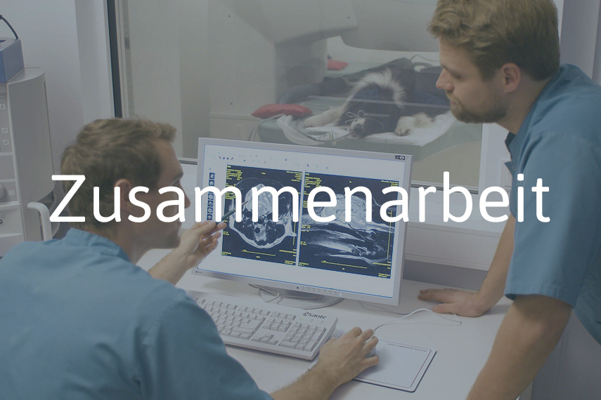 Zusammenarbeit